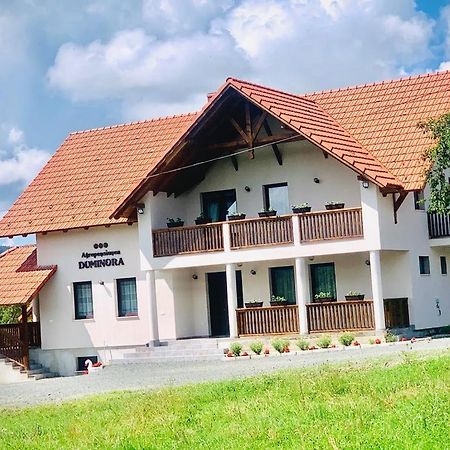Agropensiunea Duminora Lăschia Eksteriør billede